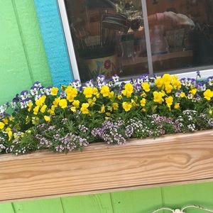 Meet your Posher, Kamari